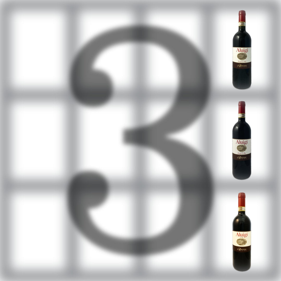A vertical tasting of Le Cinciole Aluigi, organic Italian red wine, Chianti Classico Gran Selzione from Tuscany