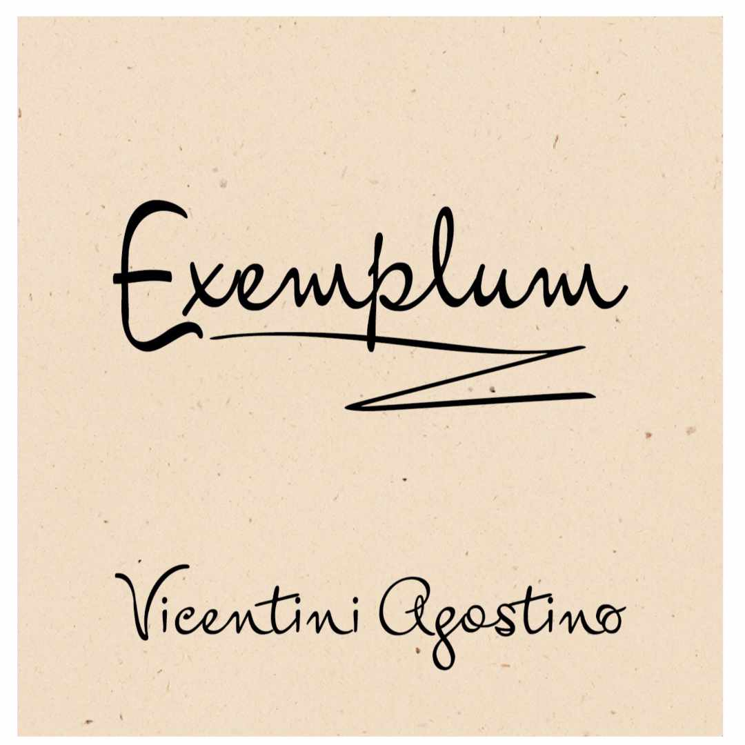 Vicentini Agostino Exemplum Trebbiano di Soave from the Terrelunghe vineyard in Soave, a dry medium to full bodied dry white Italian wine