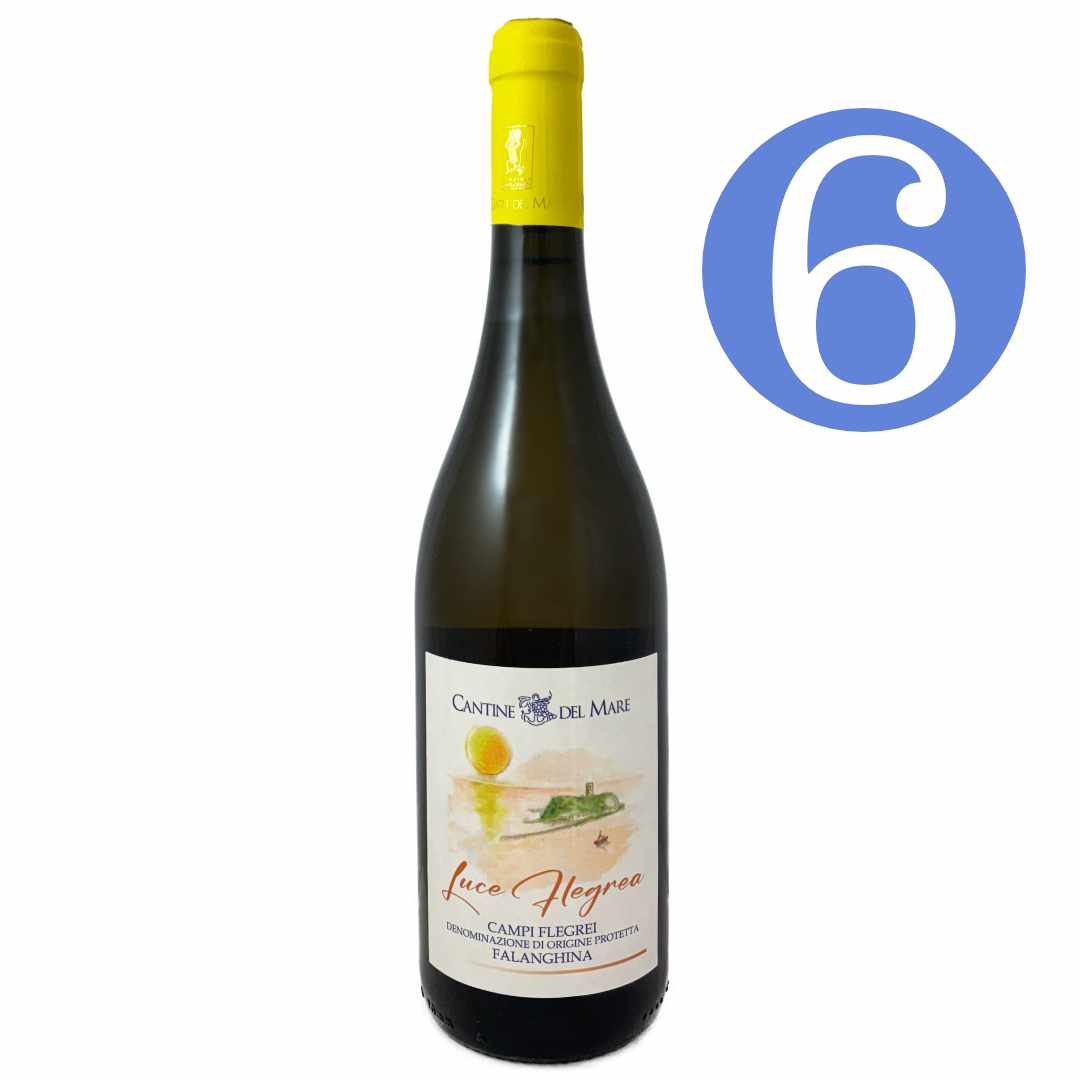 Cantine del Mare. Falanghina 'Luce Flegrea' a dry precise artisan white wine from the coast west of Naples grown on volcanic rock 6 bottle case