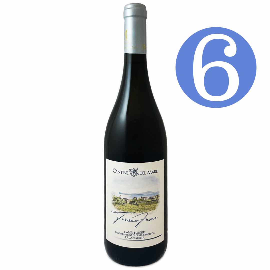 Cantine del Mare Falanghina Campi Flegrei Torrefumo dry Italian white wine from an artisan family producer in Campania 6 bottle case offer the wine is imported by Bat and Bottle
