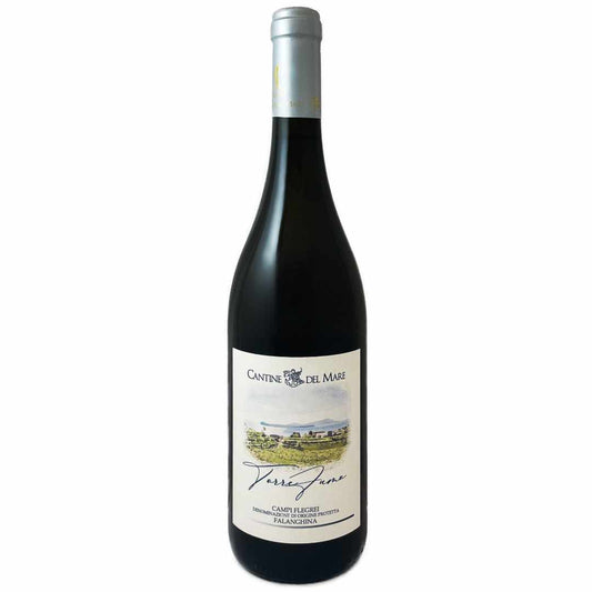 Cantine del Mare Falanghina Campi Flegrei Torrefumo dry Italian white wine from an artisan family producer in Campania