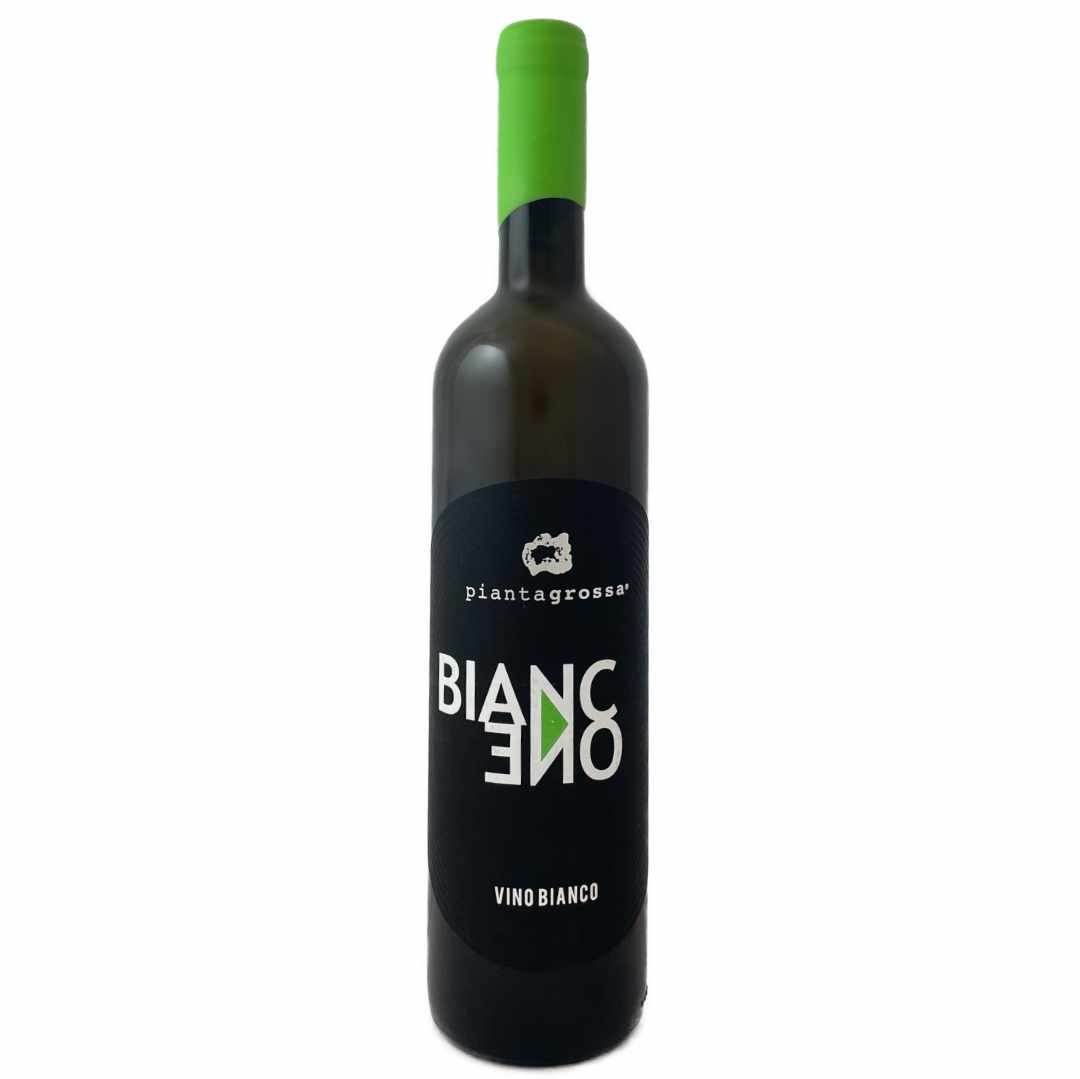 Pianta Grossa. BiancOne Erbaluce from Aosta 2021 grown on the slopes above Donnas