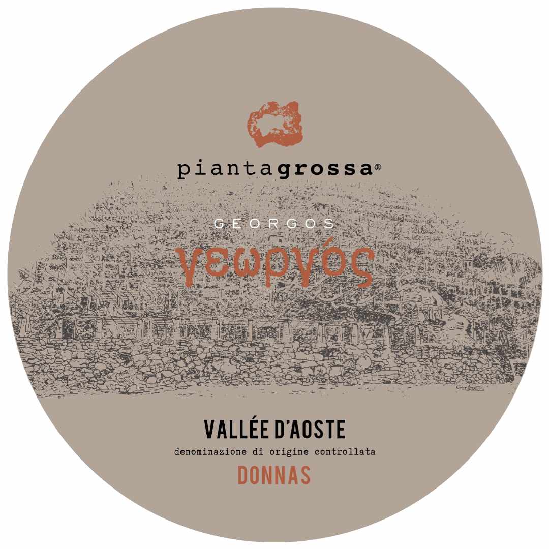 Pianta Grossa. Vallee d'Aoste Donnas 'Georgos'