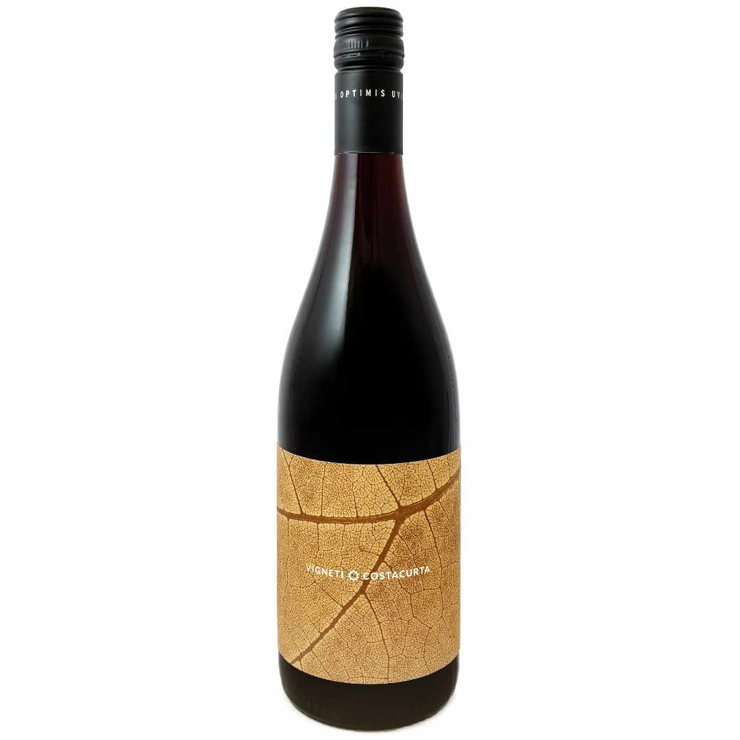 Vigneti-Costacurta-Tintaunita-Alto-Piemonte-Nebbiolo-imported by Bat and Bottle