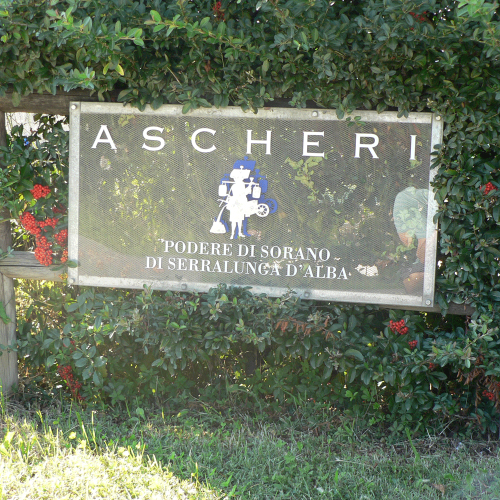 Ascheri