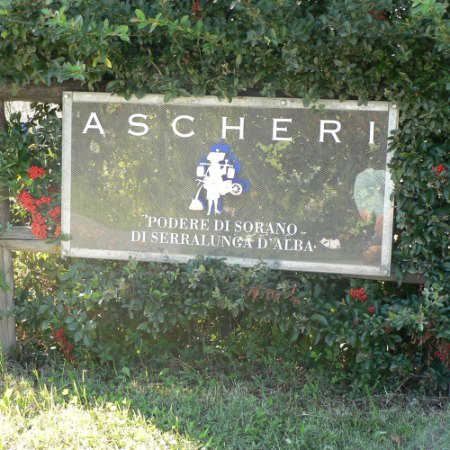 Ascheri 