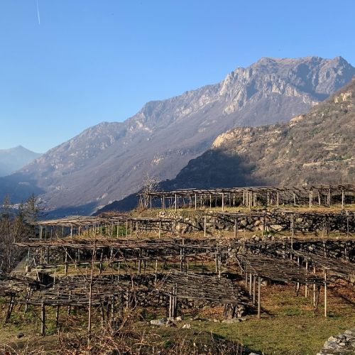 Togliana. Carema l'Arsin