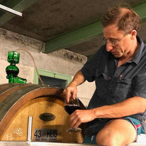 Lapo Berti a Tuscan, Australian in Piemonte making Nebbiolo, Barolo and Langhe Nebbiolo