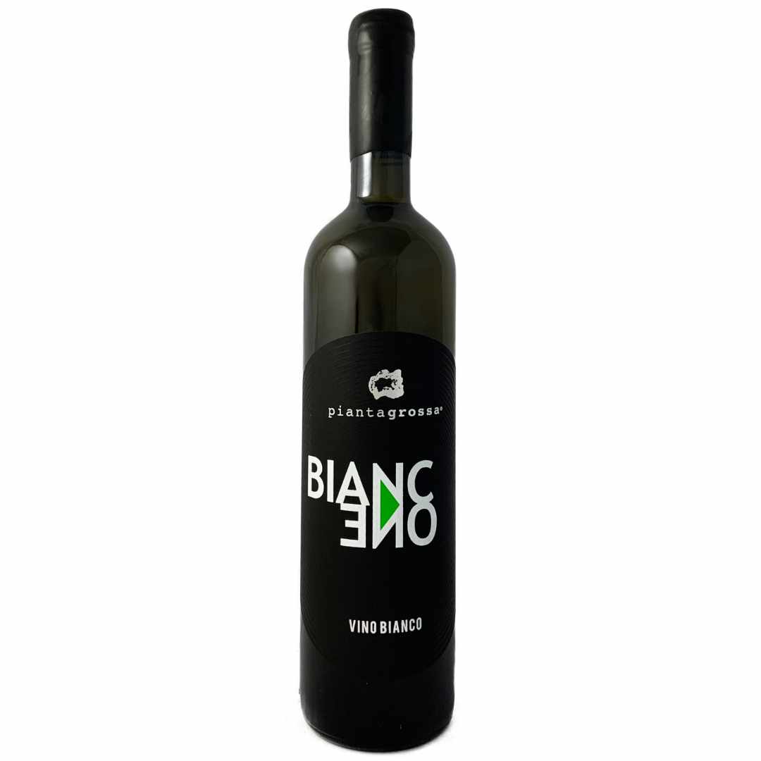 Pianta Grossa. BiancOne Erbaluce from Aosta 2020 grown on the slopes above Donnas