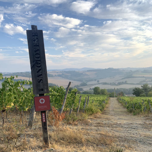 Roccafiore. Il Roccafiore