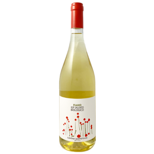 Sampietrana. Salento Fiano Biologico Organic dry white wine from Puglia / Apuglia Italy