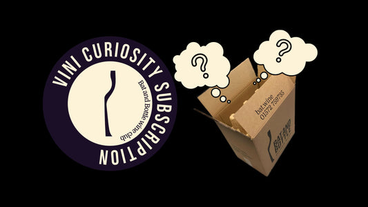 Vini Curiosity logo and wine case