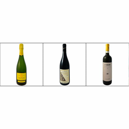 Bat and Bottle Christmas selection 3 bottle mixed case, the BEMMA selection which has 3 different wines - Caves de Donnas 2019 - Camillo Favaro Erbaluce 2021 and Majolini Franciacorta Brut