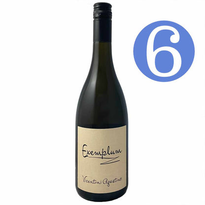 Vicentini Agostino Exemplum Trebbiano di Soave from the Terrelunghe vineyard in Soave, a dry medium to full bodied dry white Italian wine 6 bottle case