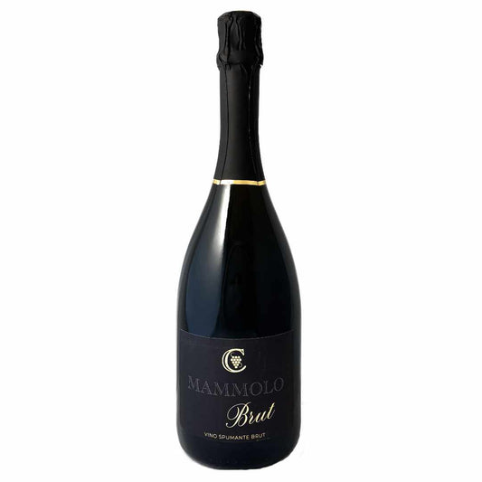 Azienda Agrigola Marco Cincinelli Mammolo Brut spumante imported by Bat and Bottle