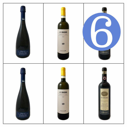 Bat and Bottle Christmas selection 6 bottle mixed case, the BEMMA selection which has 3 different wines - Cinciole Chianti Classico 19,  Favaro Erbaluce di Ca;uso 22, Cantine della Serra 'Serra Blu '. The perfect gift