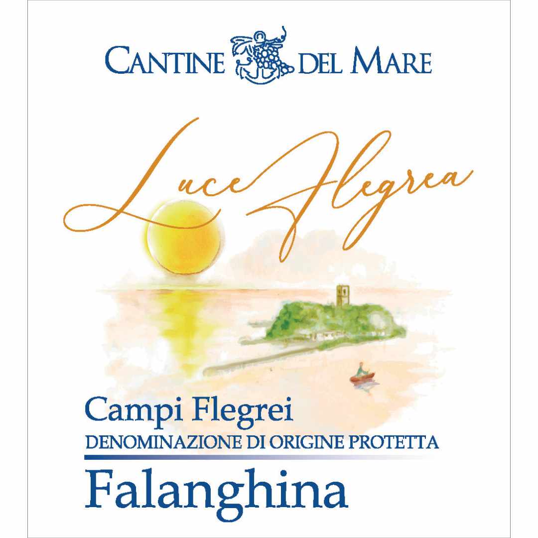 Cantine del Mare. Falanghina 'Luce Flegrea' a dry precise artisan white wine from the coast west of Naples grown on volcanic rock using ungrafted vines