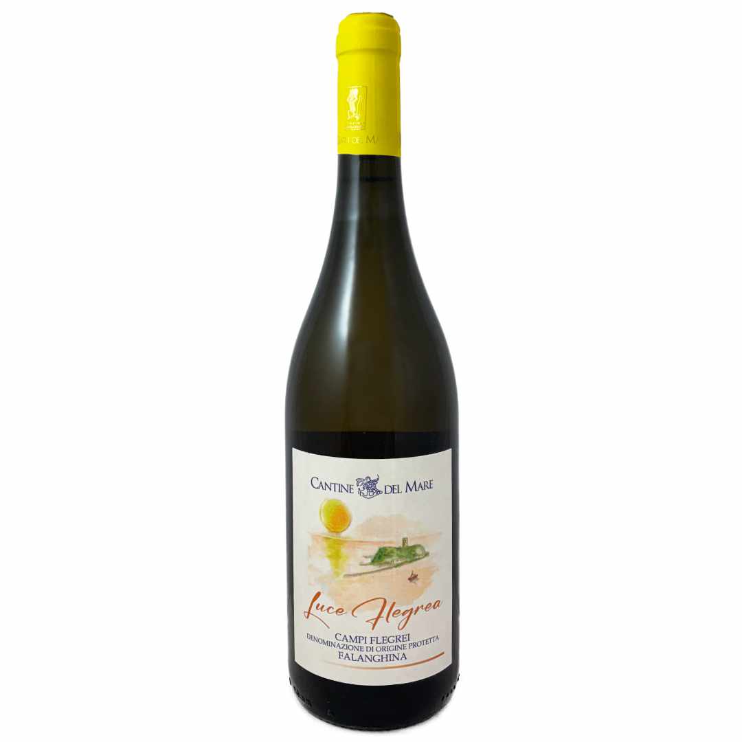 Cantine del Mare. Falanghina 'Luce Flegrea' a dry precise artisan white wine from the coast west of Naples grown on volcanic rock