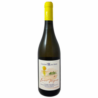 Cantine del Mare. Falanghina 'Luce Flegrea' a dry precise artisan white wine from the coast west of Naples grown on volcanic rock