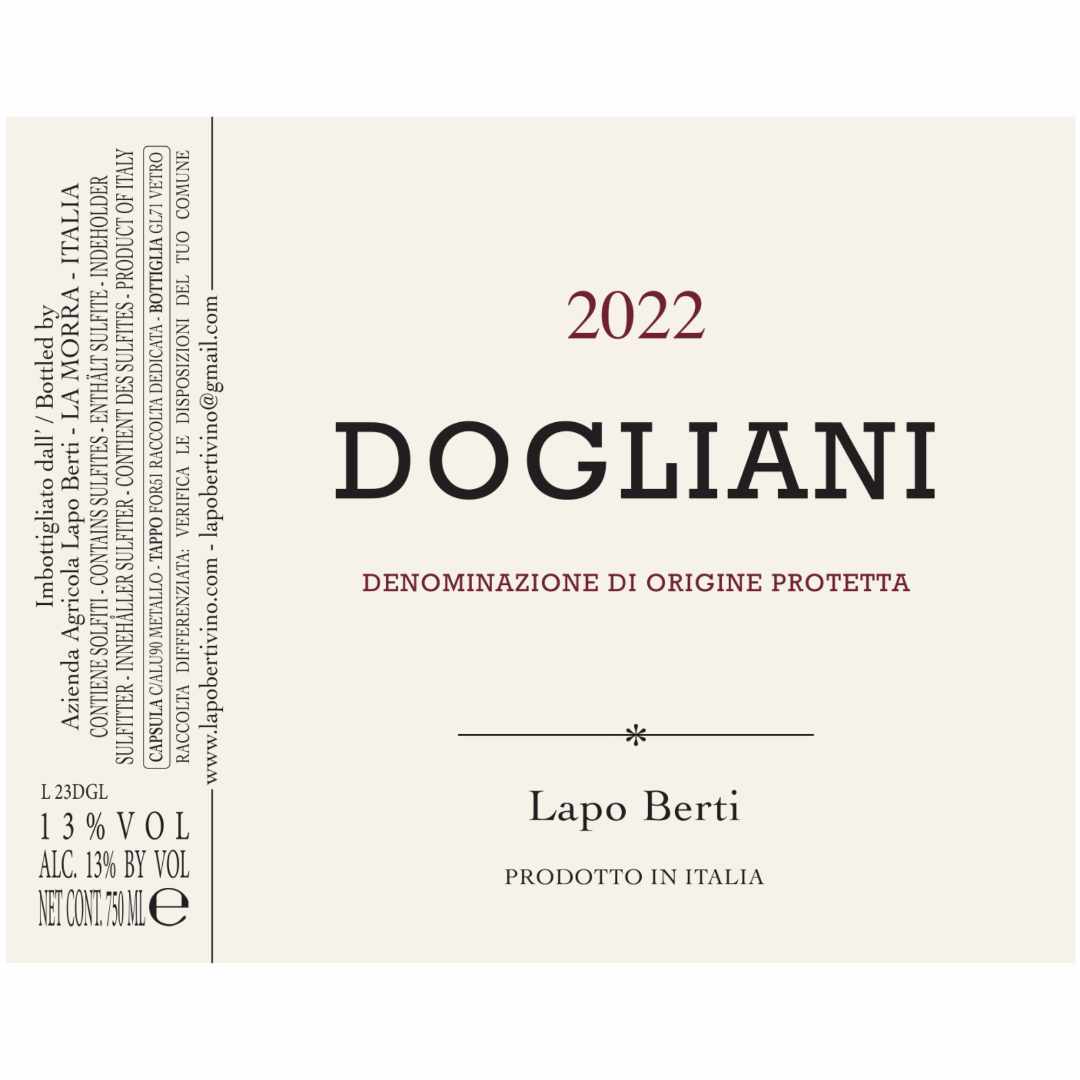 Lapo Berti Dolcetto Dogliani 2022 Piemonte red wine natural wine