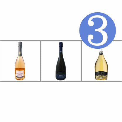 Italian charmat or Marinotti mixed case of Erbaluce Cococciiola and Glera 3 bottle gift