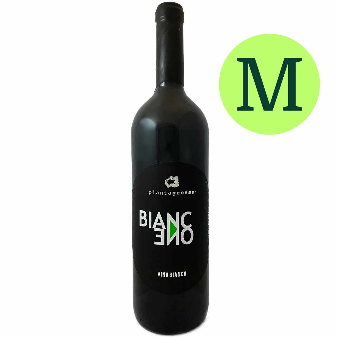 Pianta Grossa. BiancOne Erbaluce from Aosta 2020 grown on the slopes above Donnas bottled in magnum 150cl
