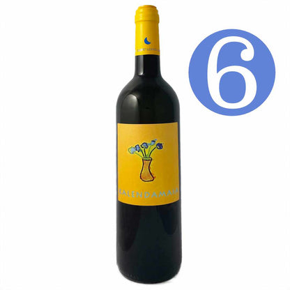 Sant'Agnese di Paolo Gigli Vermentino a mix of clones, Corsican predominant coastal Tuscany medium bodied dry white white 6 bottle case imported by Bat and Bottle