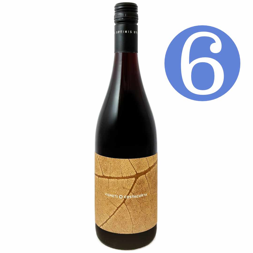 Vigneti Costacurta Tintaunita 6 bottle case Alto Piemonte Nebbiolo imported by Bat and Bottle