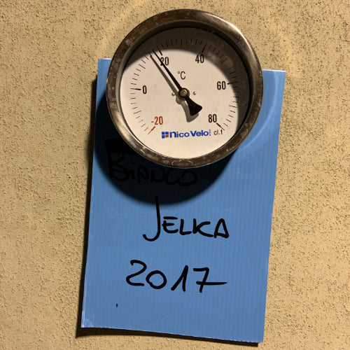 Jelka 2017 resting in concrete egg